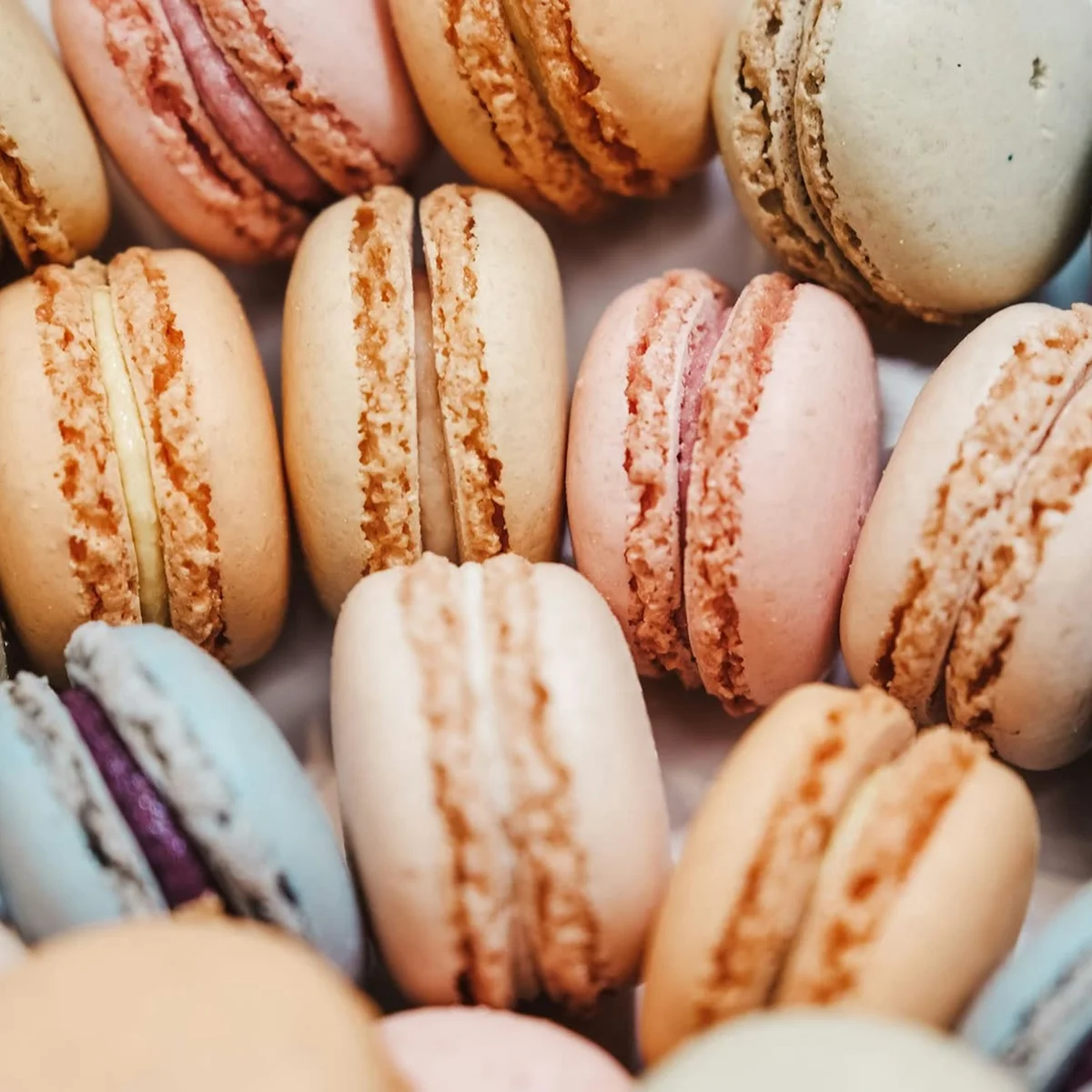 Coffret de 12 macarons — 1